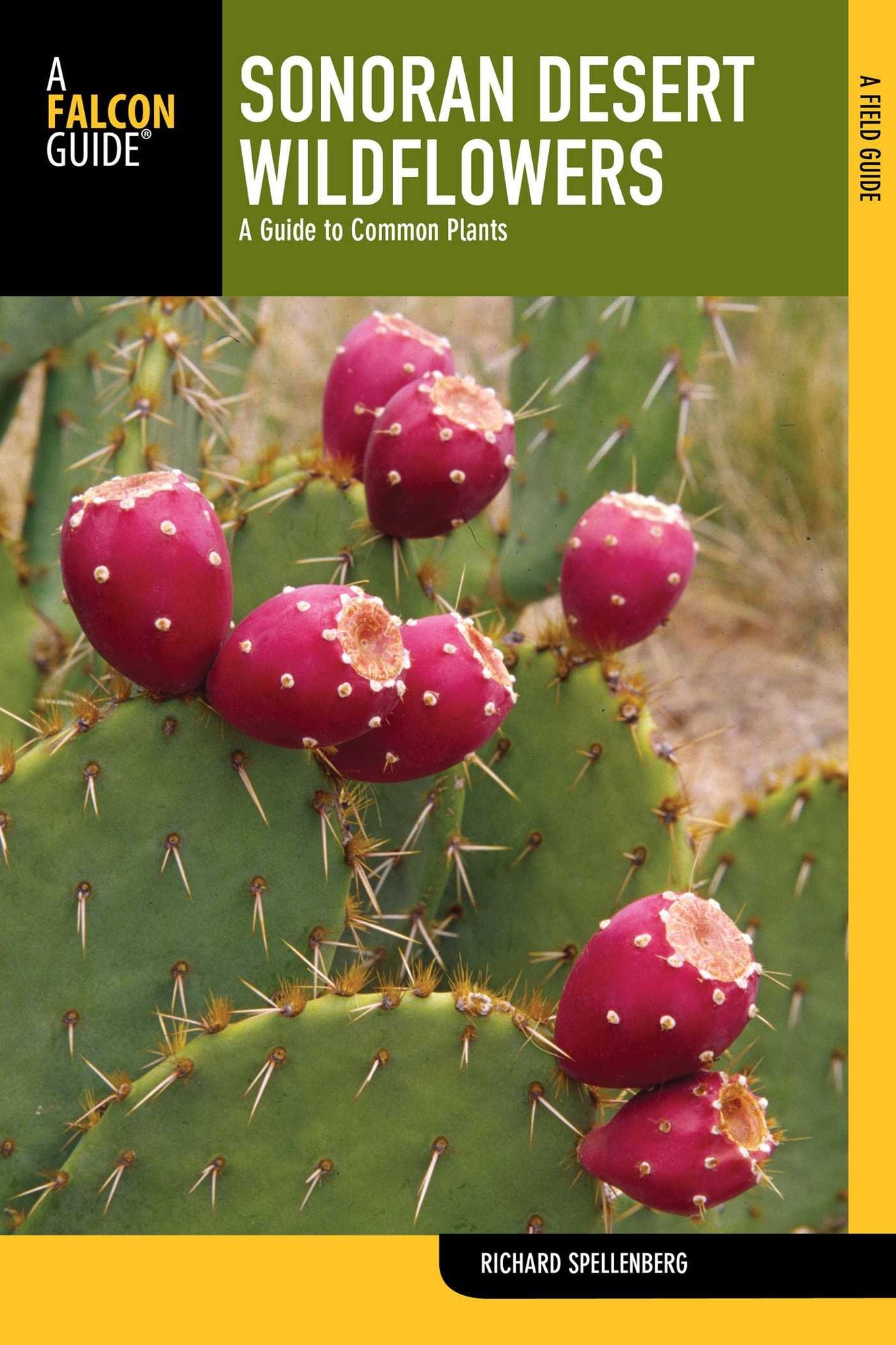 Sonoran Desert Wildflowers, 2nd: A Guide to Common Plants