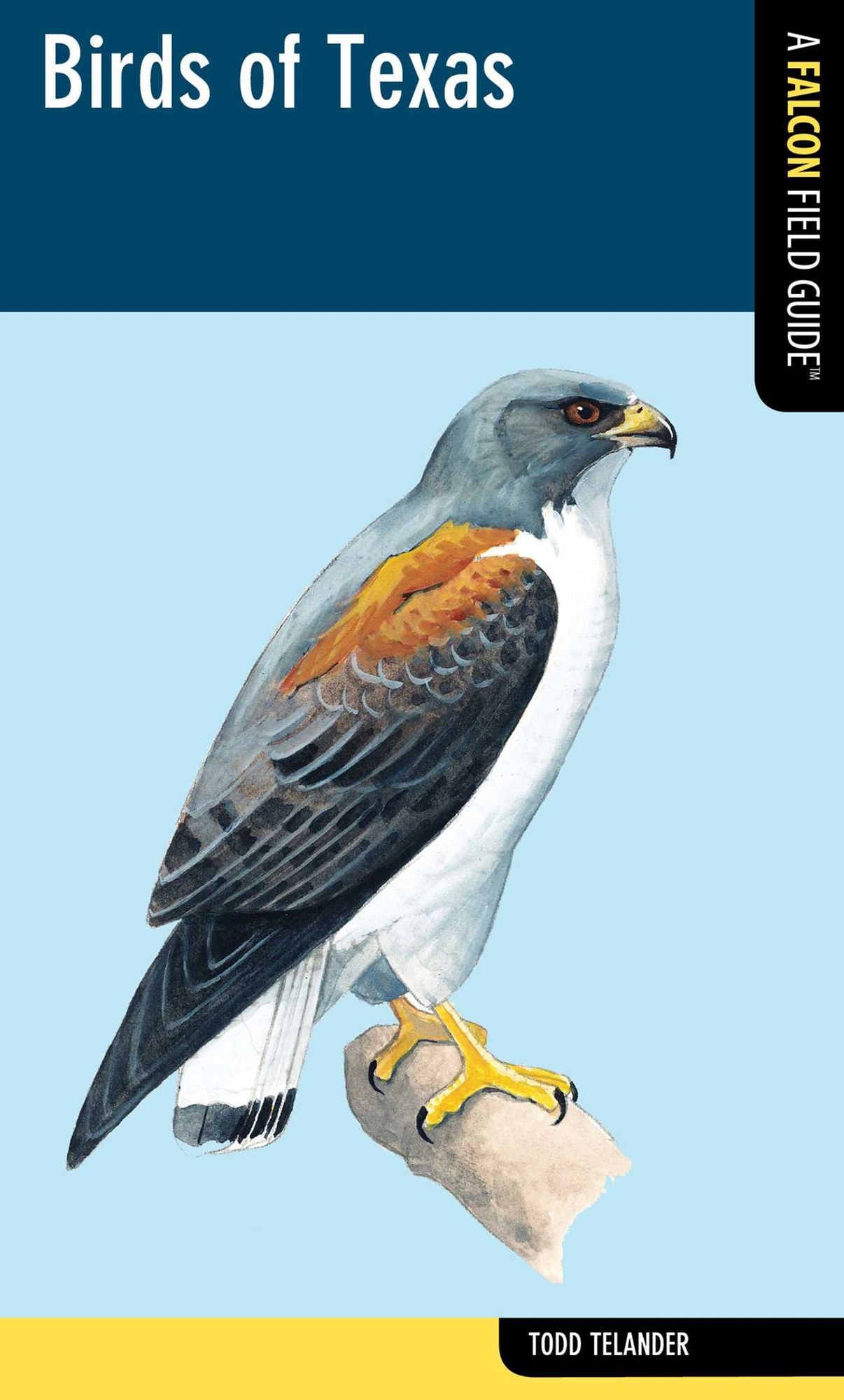 Birds of Texas: A Falcon Field Guide [tm]