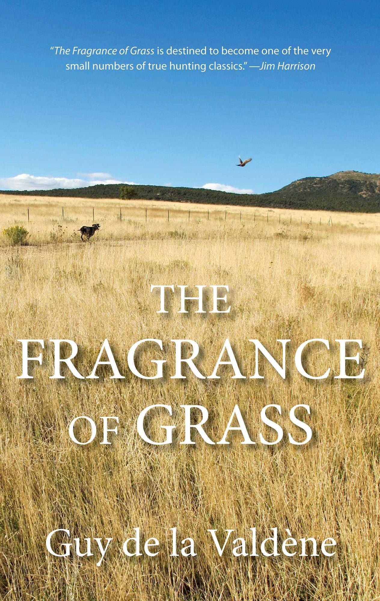 Fragrance of Grass