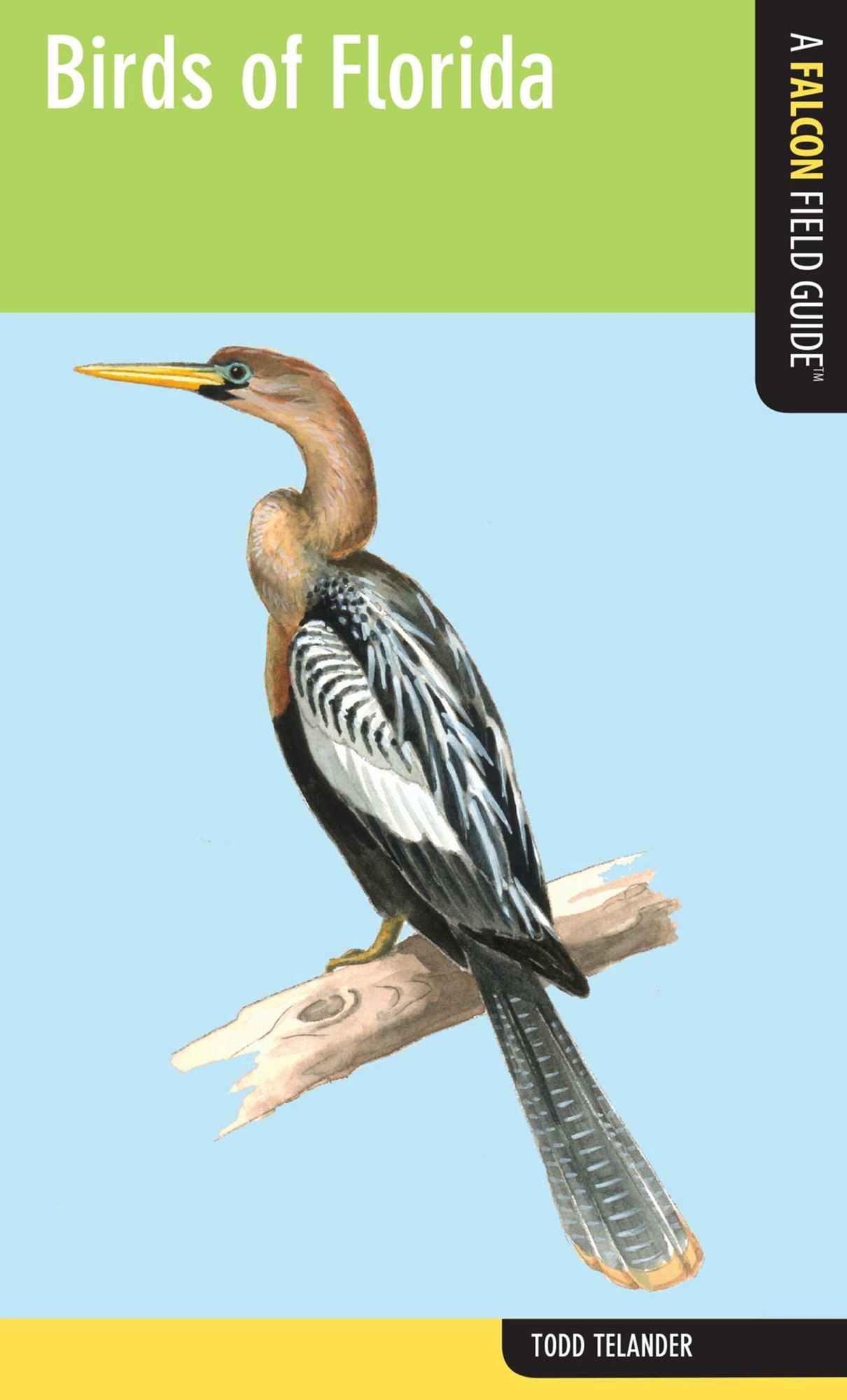 Birds of Florida: A Falcon Field Guide