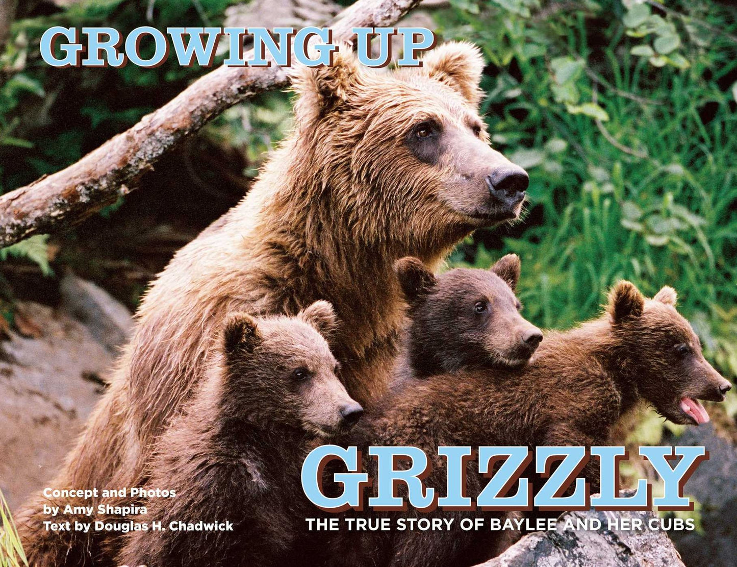 Growing Up Grizzly: The True Story of Baylee and Her Cubs