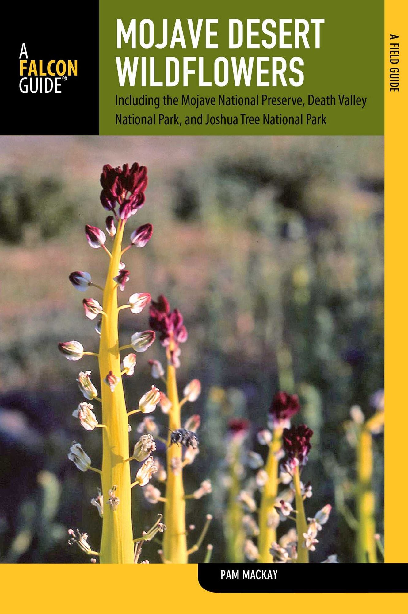 Mojave Desert Wildflowers, 2nd: A Field Guide to Wildflowers, Trees, and Shrubs of the Mojave Desert, Including the Mojave National Preserve, Death Valley National Park, and Joshua Tree National Park