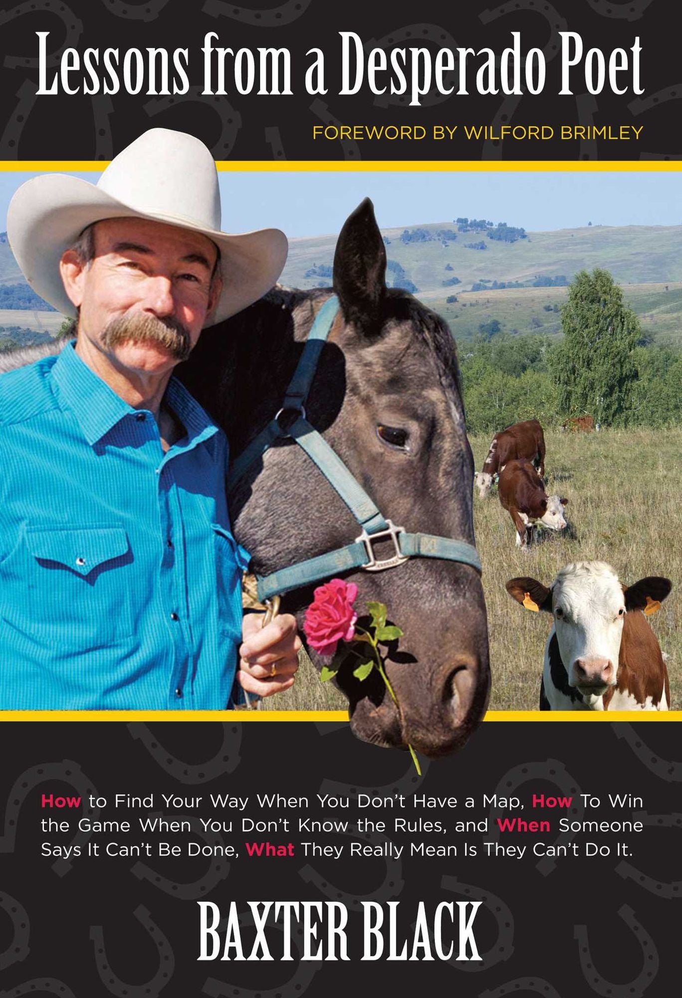 Lessons from a Desperado Poet: How to Find Your Way When You Don't Have a Map, How to Win the Game When You Don't Know the Rules, and When Someone Sa
