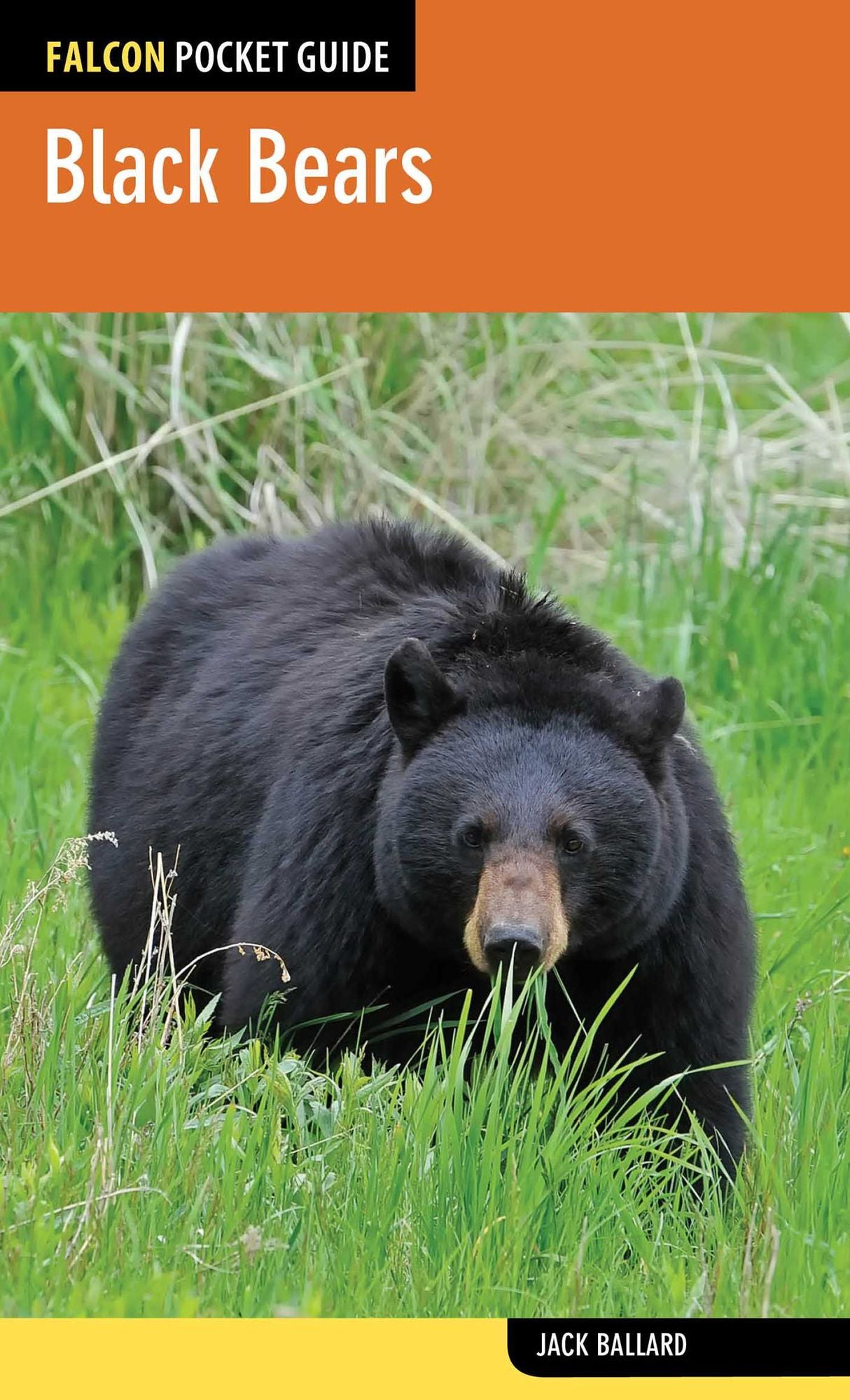 Falcon Pocket Guide: Black Bears