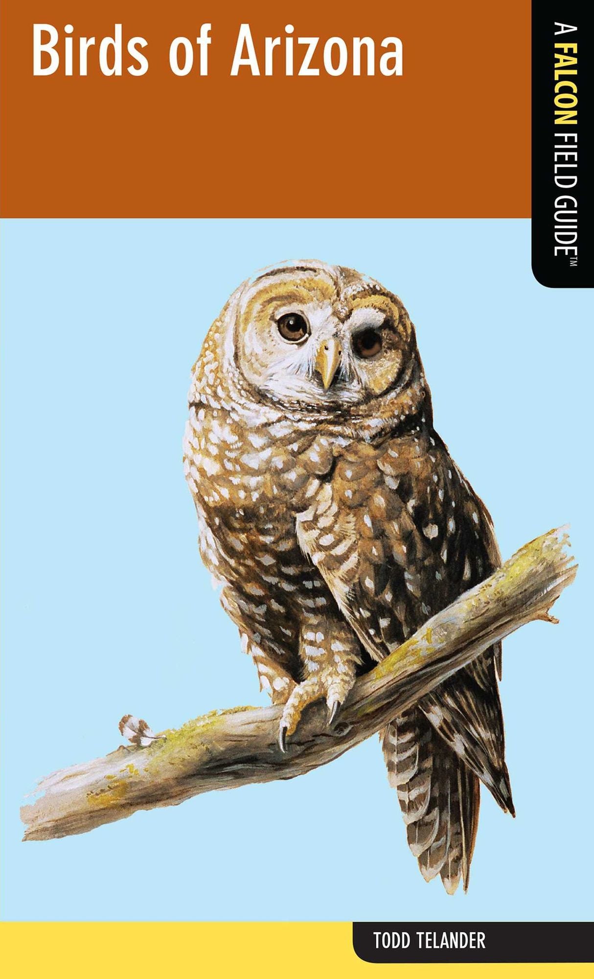 Birds of Arizona: A Falcon Field Guide
