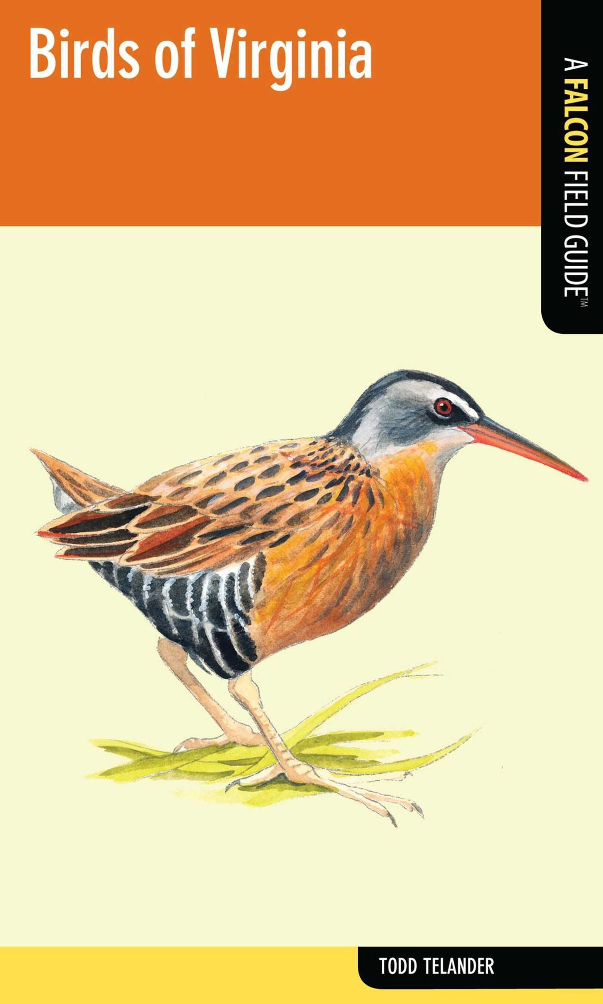Birds of Virginia: A Falcon Field Guide