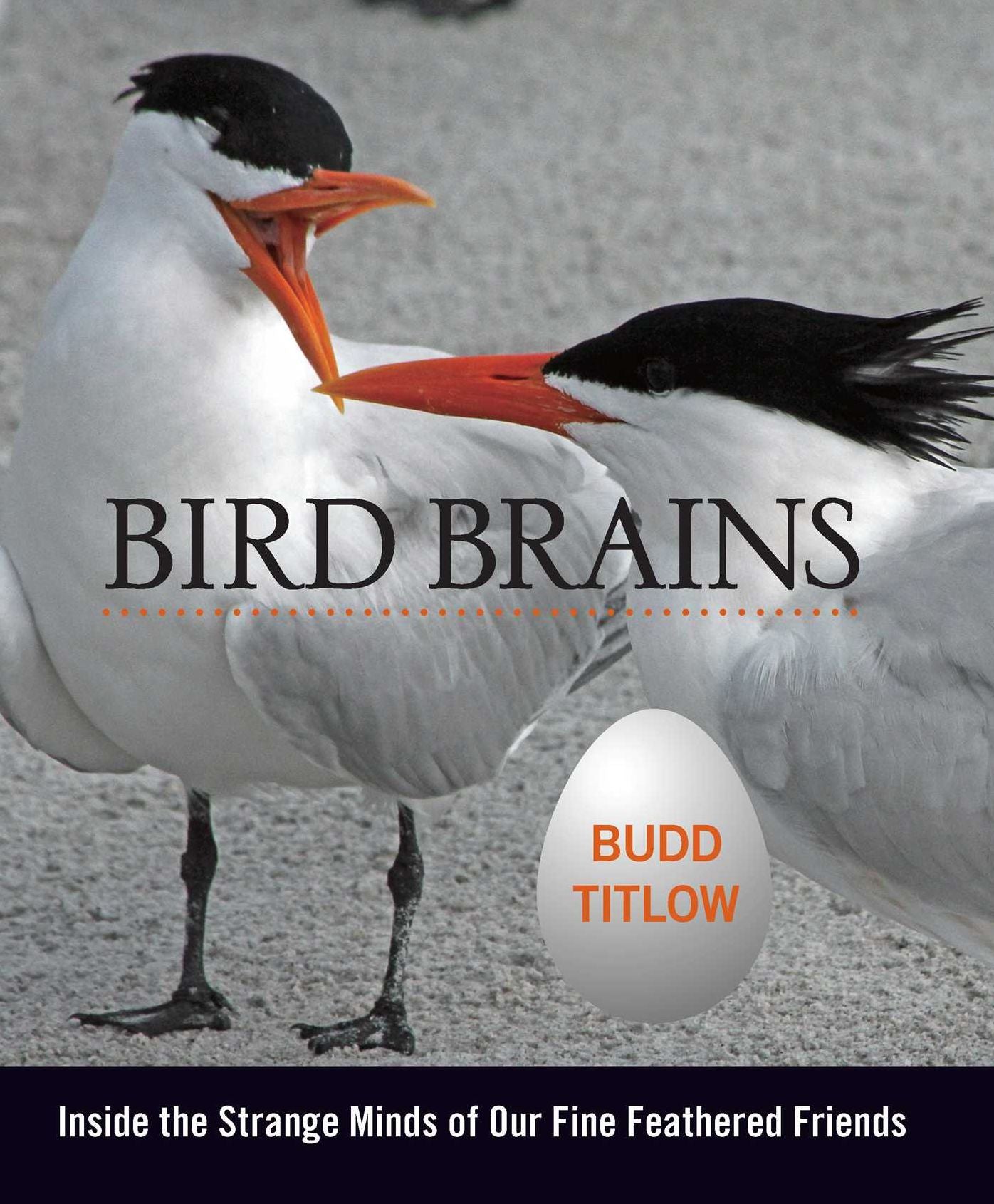 Bird Brains: Inside the Strange Minds of Our Fine Feathered Friends