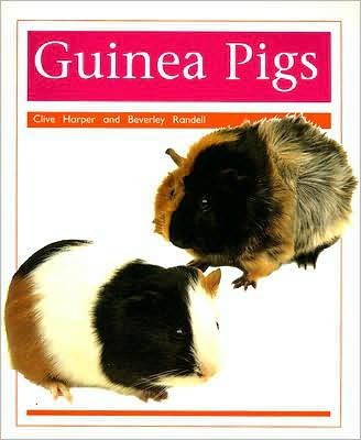 Rigby PM Collection: Individual Student Edition Orange (Levels 15-16) Pets: Guinea Pigs