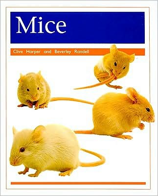 Rigby PM Collection: Individual Student Edition Orange (Levels 15-16) Pets: Mice