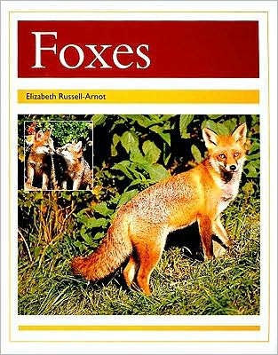 Rigby PM Collection: Individual Student Edition Gold (Levels 21-22) Foxes