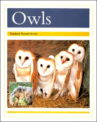 Rigby PM Collection: Individual Student Edition Gold (Levels 21-22) Owls