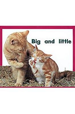 Rigby PM Plus Starters: Individual Student Edition Magenta (Level 2) Big and Little