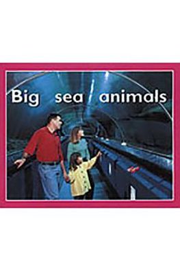 Rigby PM Plus Starters: Individual Student Edition Magenta (Level 2) Big Sea Animals