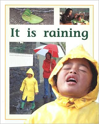 Rigby PM Plus: Individual Student Edition Yellow (Levels 6-8) It Is Raining