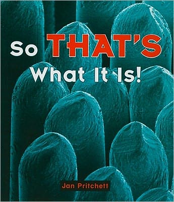 Rigby Literacy: Student Reader Grade 1 (Level 7) That's What It Is