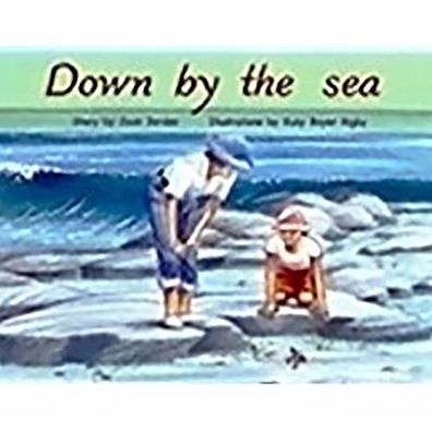 Rigby PM Plus: Individual Student Edition Blue (Levels 9-11) Down By The Sea