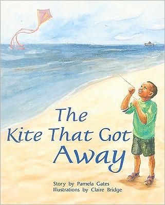 Rigby PM Plus: Individual Student Edition Orange (Levels 15-16) The Kite That Got Away