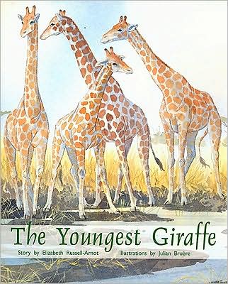 Rigby PM Plus: Individual Student Edition Orange (Levels 15-16) The Youngest Giraffe