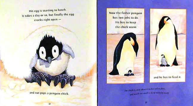 The Emperor's Egg (Read and Wonder Series)