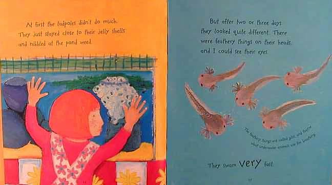 Growing Frogs (Read and Wonder Series)