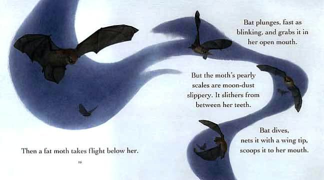 Bat Loves the Night (Read and Wonder Series)