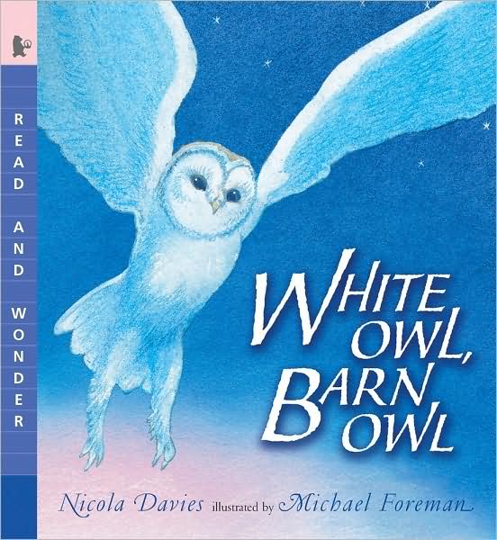White Owl, Barn Owl (Read and Wonder Series)