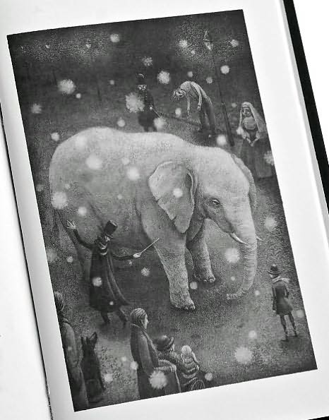 The Magician's Elephant