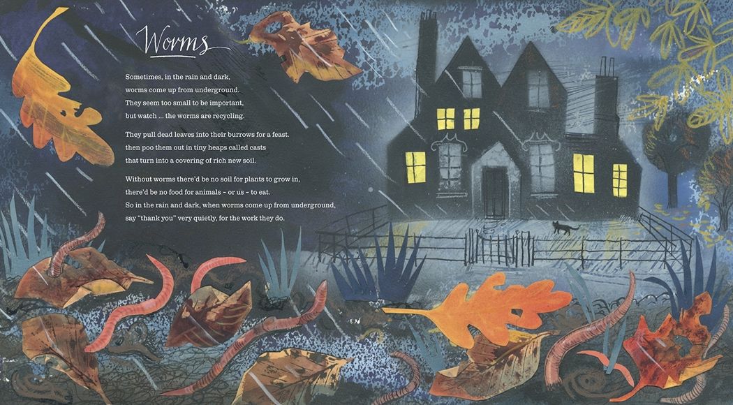 Outside Your Window: A First Book of Nature