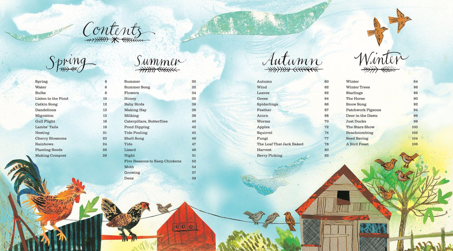 Outside Your Window: A First Book of Nature