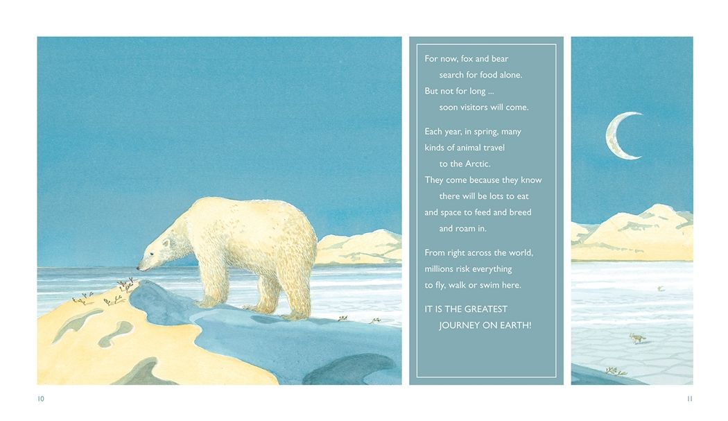 North: The Amazing Story of Arctic Migration