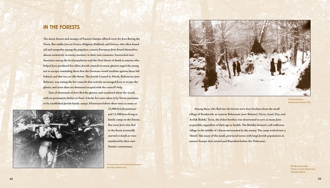 Beyond Courage : The Untold Story of Jewish Resistance During the Holocaust