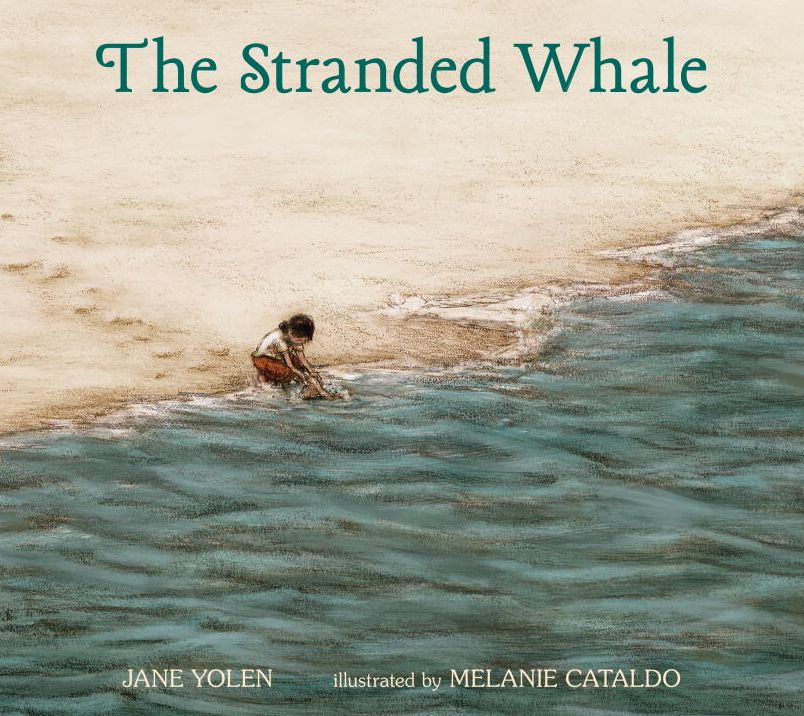 The Stranded Whale