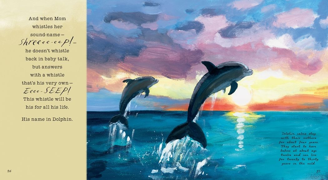 Dolphin Baby!