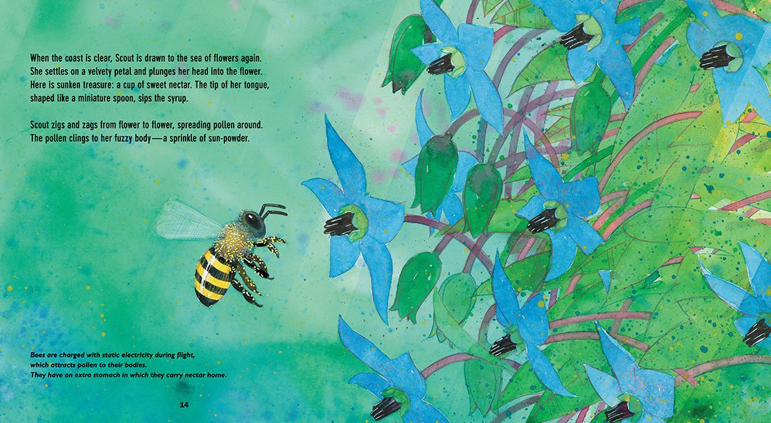 Flight of the Honey Bee