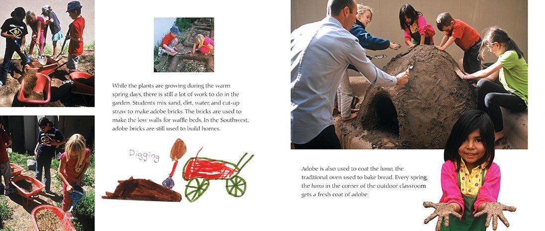 It's Our Garden: From Seeds to Harvest in a School Garden
