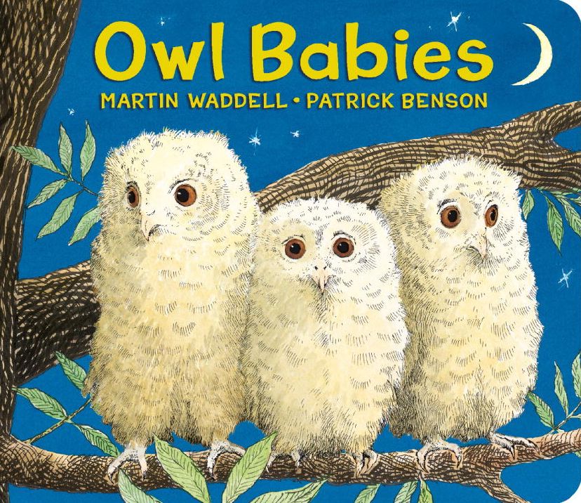 Owl Babies