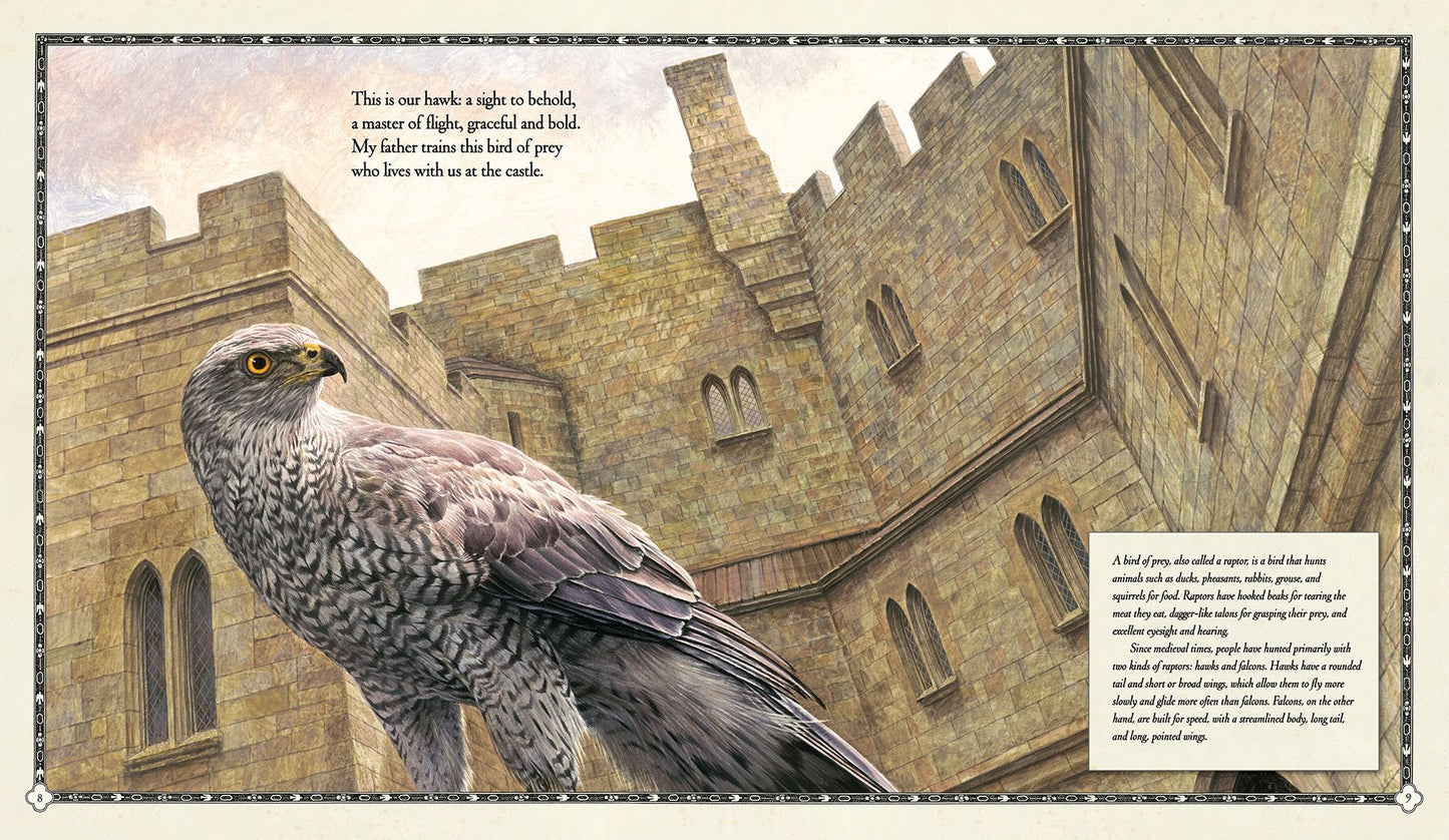 The Hawk of the Castle: A Story of Medieval Falconry