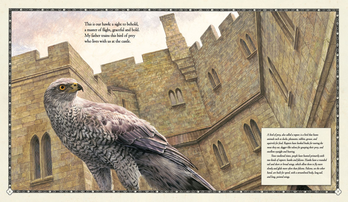 The Hawk of the Castle: A Story of Medieval Falconry