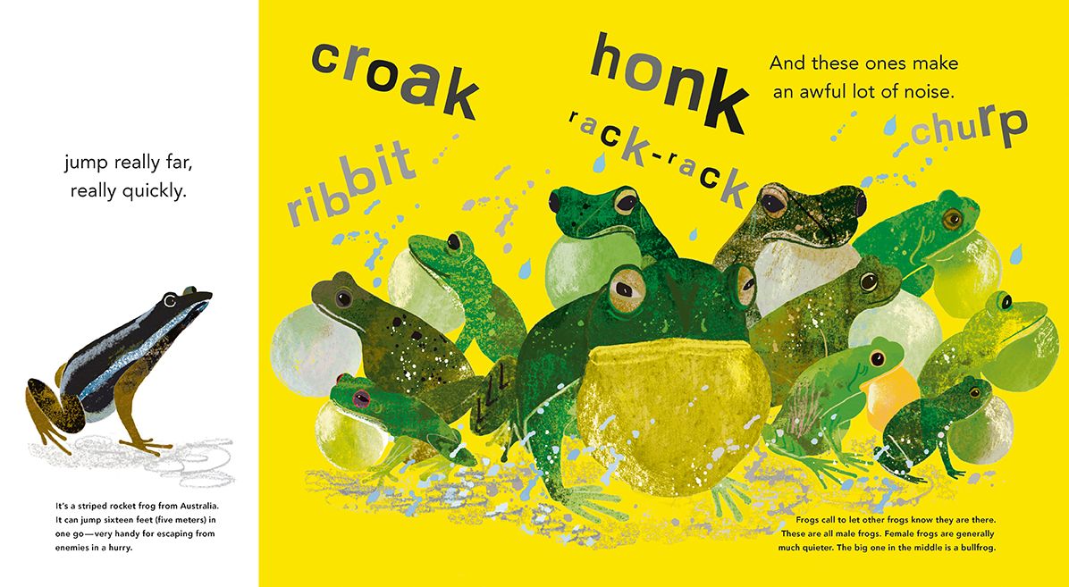 Fabulous Frogs