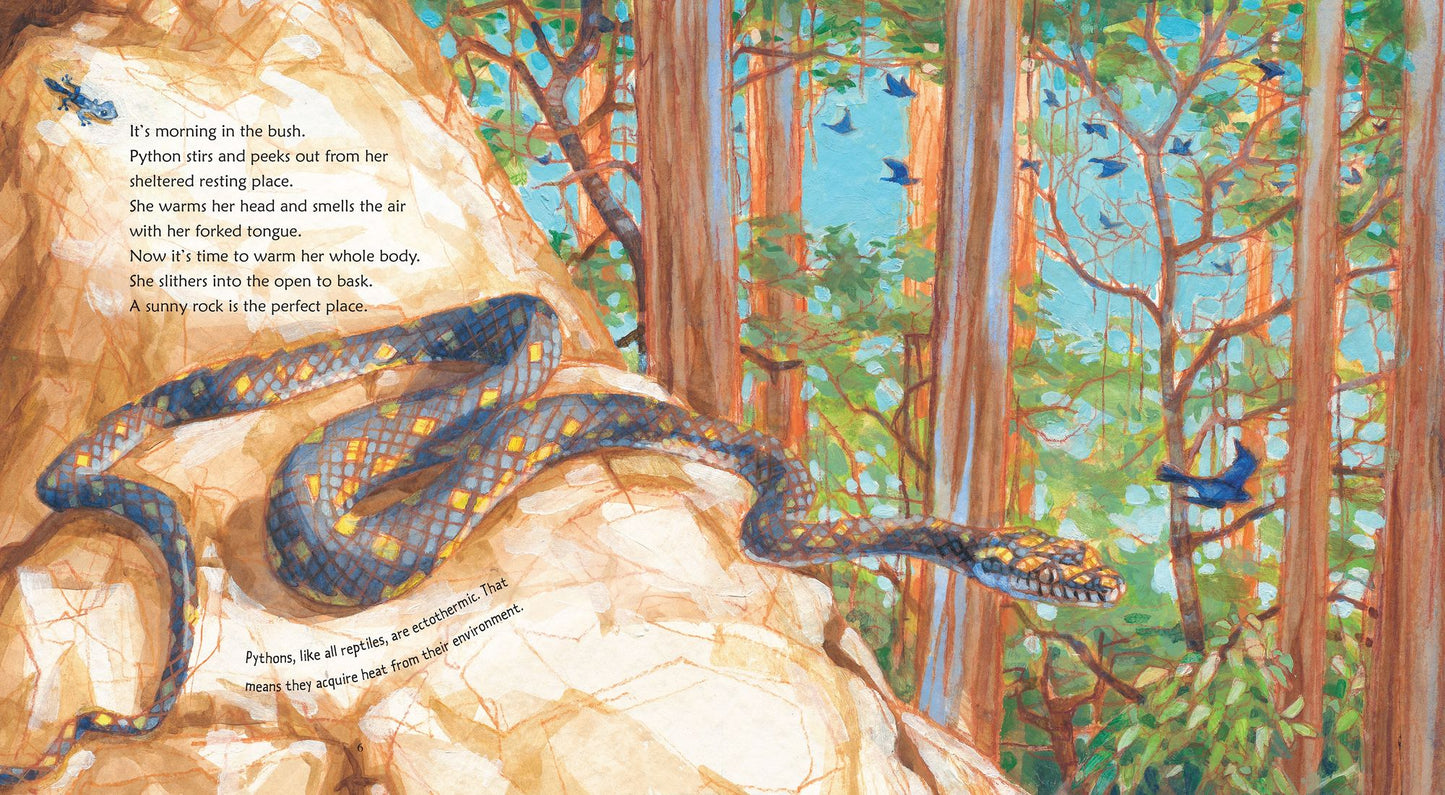 Python