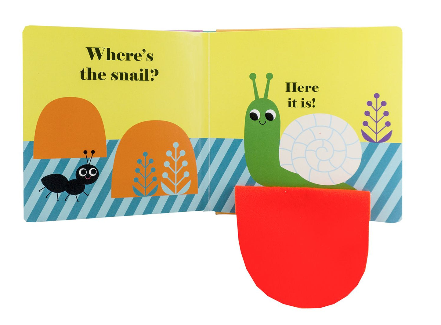 Where's the Ladybug?