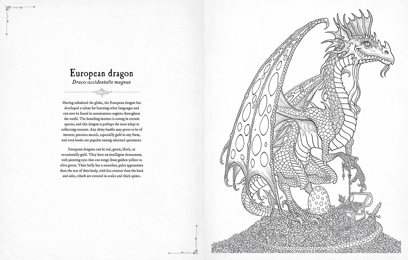 Dragonology Coloring Book