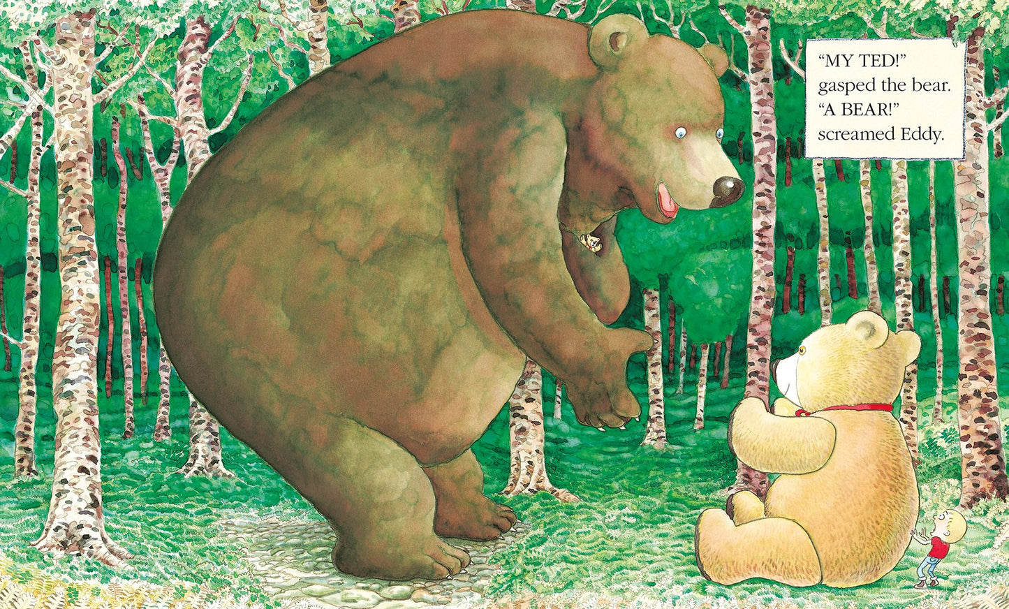 Where's My Teddy?
