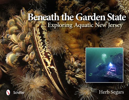 Beneath the Garden State: Exploring Aquatic New Jersey