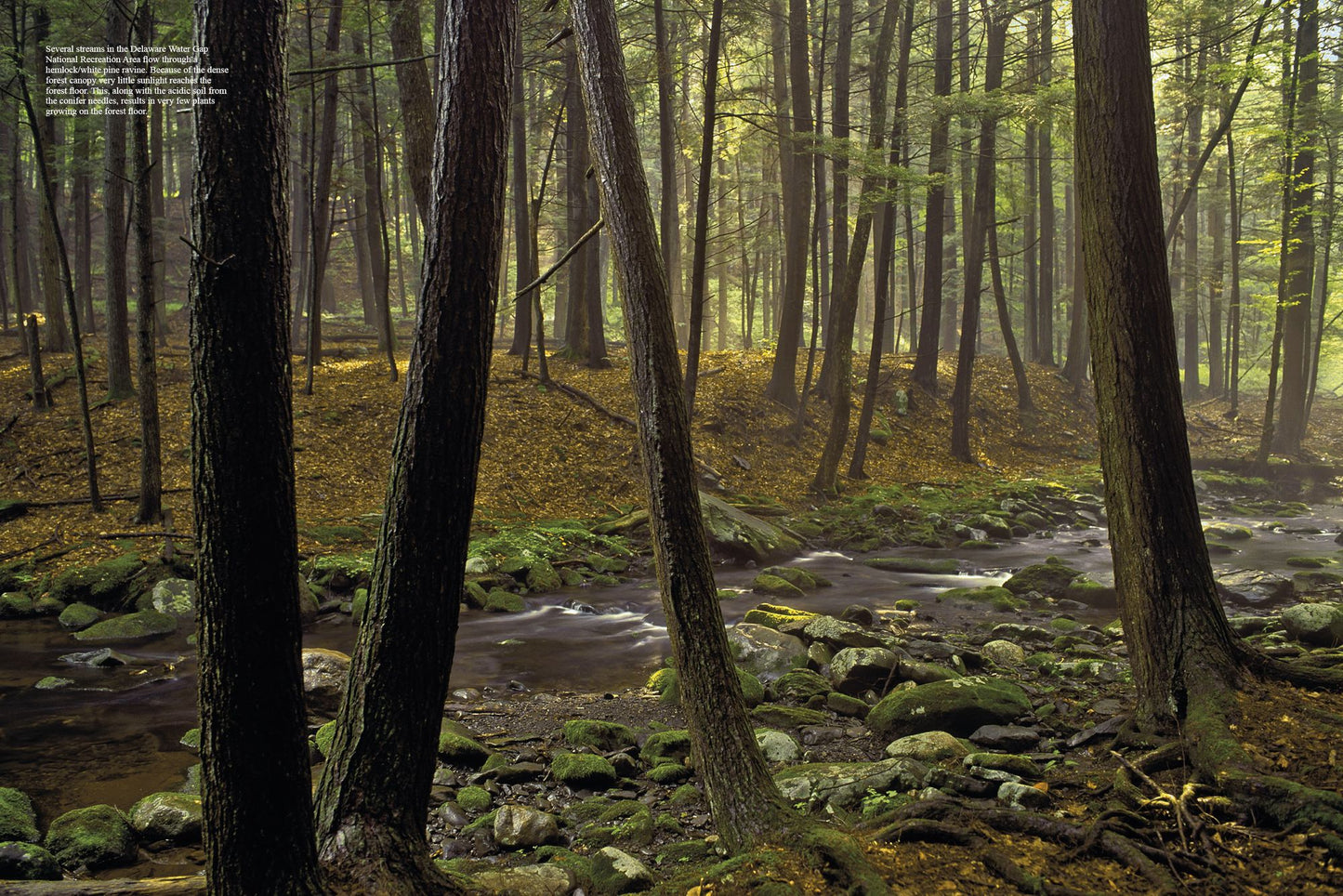 The Poconos