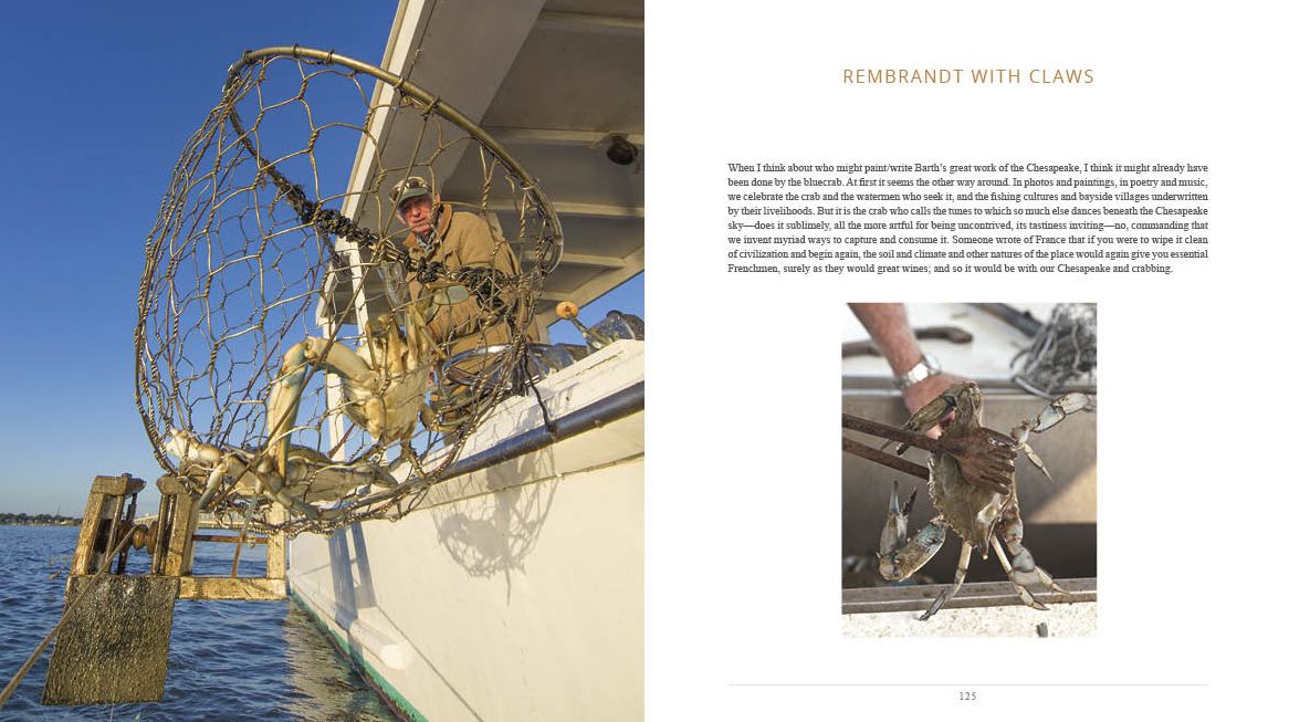 Choptank Odyssey: Celebrating a Great Chesapeake River