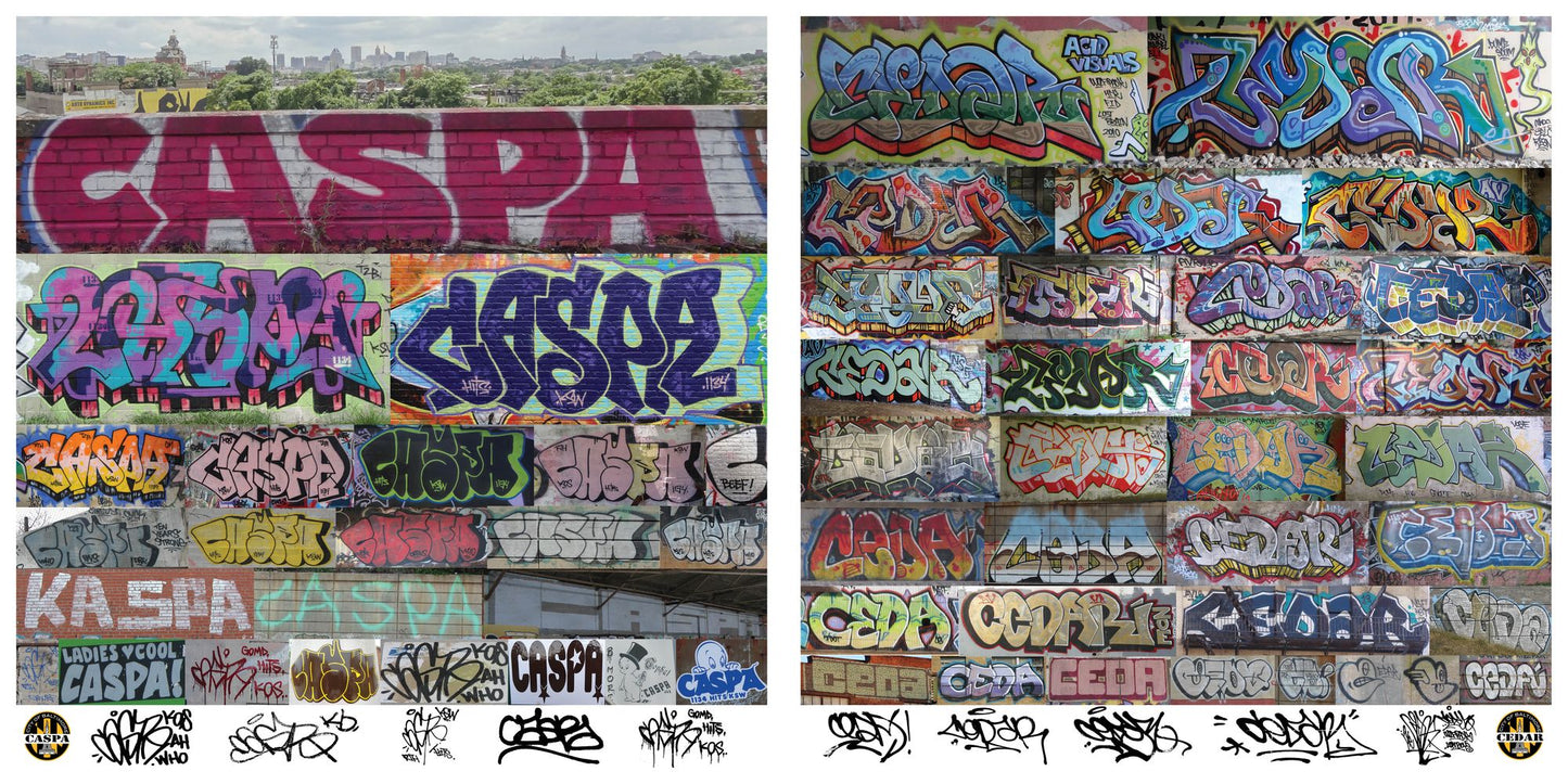 Baltimore Graffiti: The Definitive Charm City Style Collection