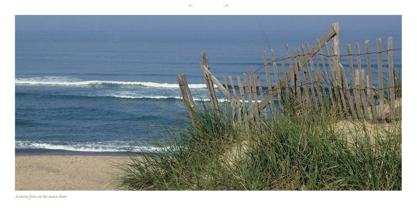 Cape Cod along the Shore: A Keepsake
