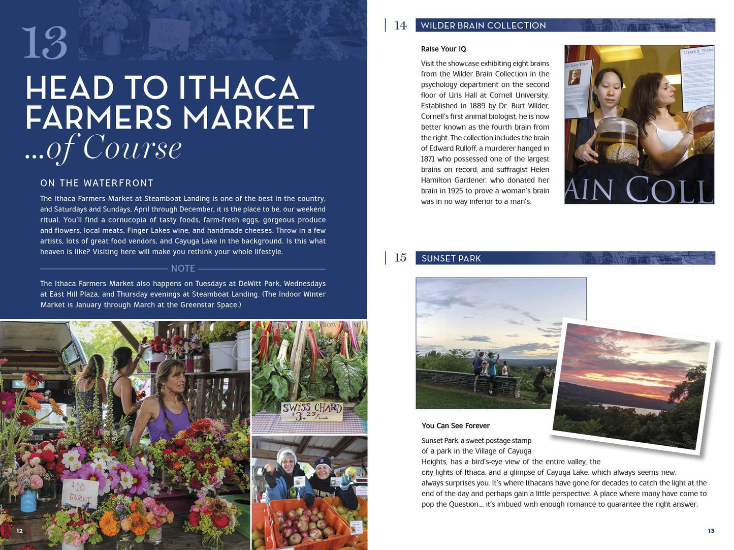 365 Things to Do in Ithaca New York: Complete Insider's Guide to All Things Ithaca