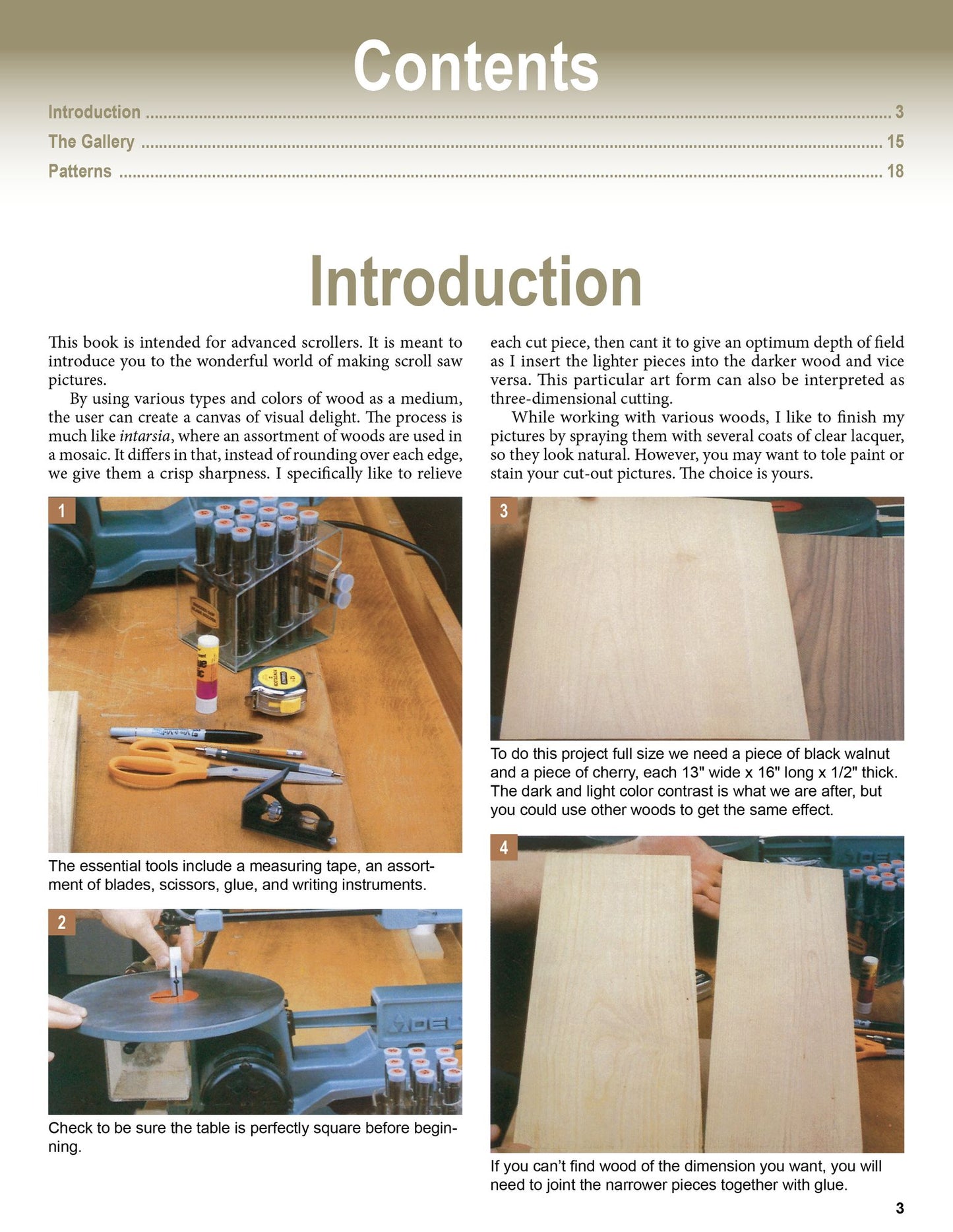 Scroll Saw Pictures: An Illustrated Guide to Creating Scroll Saw Art